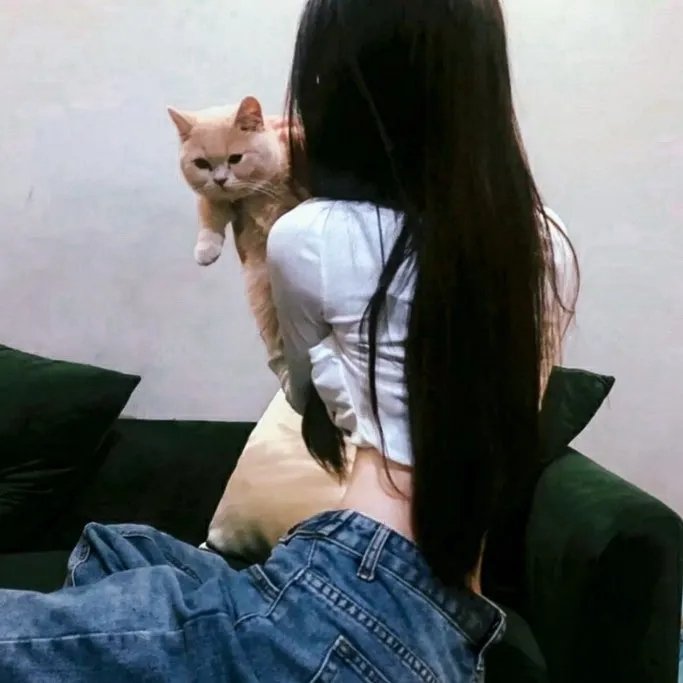 自杀小队